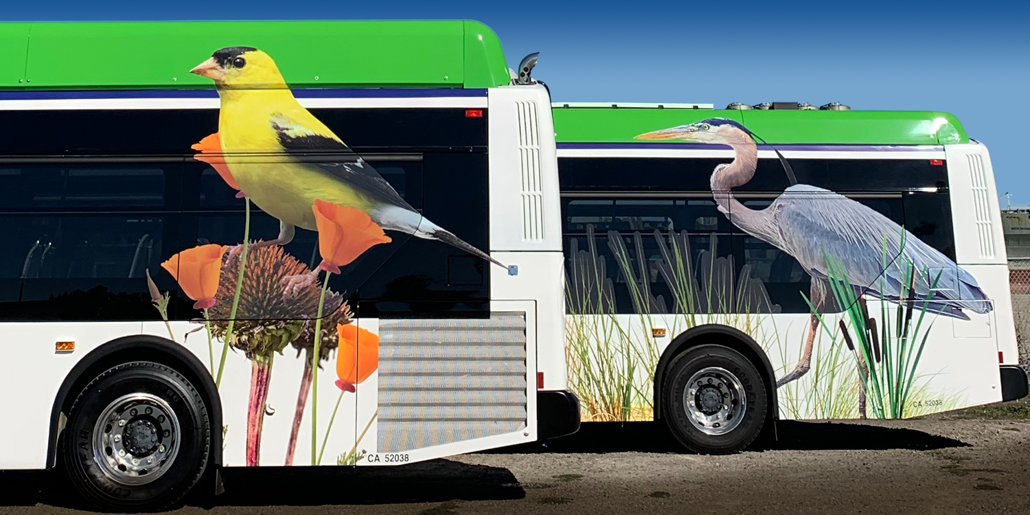 Zero emission bus with bird decals