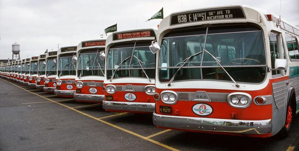 1960 bus lineup - 960x485 pixels