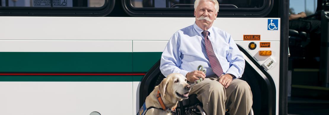 Man in wheelchair with his service animal outside of AC Transit bus